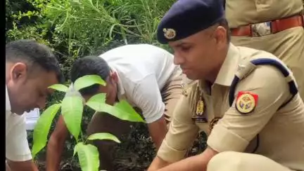 कोल: जिले में 'एक पेड़ मां के नाम' समर्पित वृक्षारोपण अभियान के तहत किया गया वृहद वृक्षारोपण