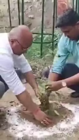 निघासन: निघासन तहसील परिसर में एसडीएम ने मां के नाम अभियान में लगाया एक पेड़, अफसरों ने किया पौधारोपण