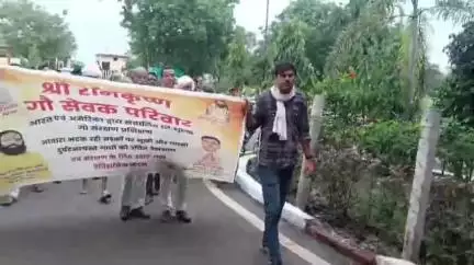 सुठालिया: नापानेरा के गौ सेवकों ने राजगढ़ कलेक्टर को दिया ज्ञापन, कहा- 10 साल से कर रहे गौ सेवा, शासन से नहीं मिली मदद