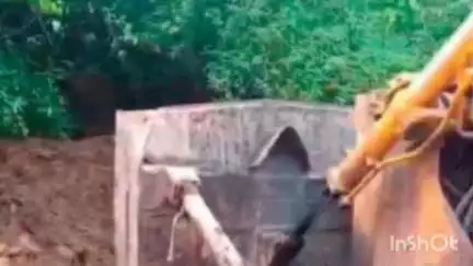 मांडू: कुजू पुलिस और सीसीएल सुरक्षा विभाग द्वारा कोयला खनन के विरुद्ध अभियान चलाया गया