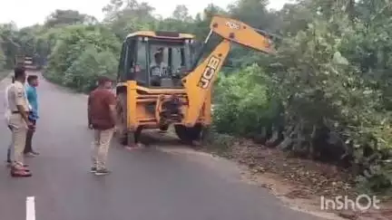 వెంకటాపురం: తాడ్వాయిలో ప్రమాదకరంగా ఉన్న చెట్ల పోదలను తొలగించిన పోలీసులు