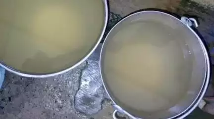 ग्राम पंचायत मोहला के कई वार्डों में नल से आ रहा गंदा और बदबूदार पानी, वार्डवासी परेशान