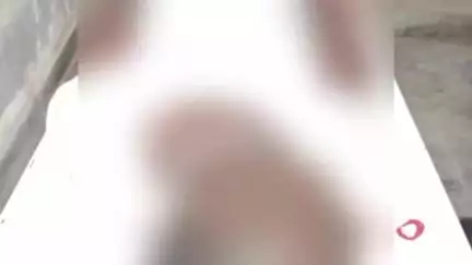 अकलेरा: अकलेरा के आवन्द गांव में कृषि कार्य करते समय जहरीले जीव के काटने से किसान की हुई मौत