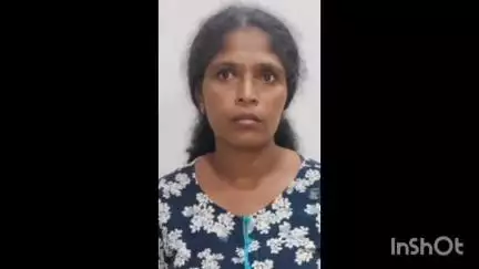 കോട്ടയം: വീട്ടിൽ വിൽപനക്കായി സൂക്ഷിച്ച ഒരു കിലോ കഞ്ചാവുമായി സ്ത്രീ അടക്കം 3 പേർ പയ്യമ്പള്ളിചിറയിൽ പിടിയിൽ