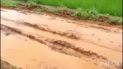 പട്ടാമ്പി: ഈ ചെളികെട്ട് കടന്ന് വേണം വീട്ടിലെത്താൻ, യാത്രാ ദുരിതത്തിൽ പട്ടാമ്പി നമ്പ്രം നിവാസികൾ #localissue