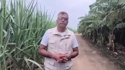 राहुरी: देवळाली प्रवरात पाणी कपात करू नका अन्यथा आंदोलन, प्रहार जनशक्ती पक्षाचे जिल्हा उपाध्यक्ष आप्पासाहेब ढूस यांचा इशारा