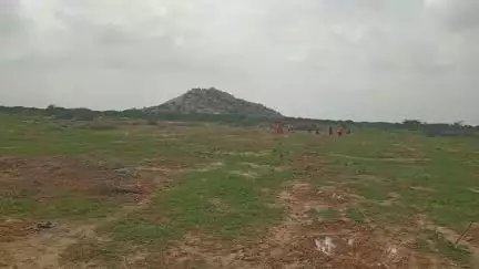 खारड़ामें मुख्यमंत्री वृक्षारोपण महाअभियान चोटिला मार्ग स्थित मॉडल चारागाह में200 पौधे लगाए 1800 का पौधे लगाने का लक्ष्य