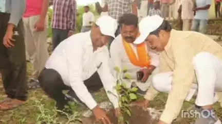 बांधवगढ़: नगरीय निकायों में अमृत प्रकोष्ठ एवं जिला स्तर पर पौधारोपण की देखभाल हेतु समिति का गठन