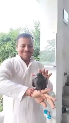 DGP अनिल प्रथम जी के निजी सचिव विनय बिहारी