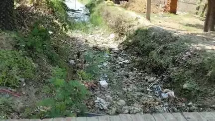 अमेठी: नहरों में पानी नहीं आने से किसानों की बढ़ी परेशानी, निजी संसाधनों से कर रहे धान की रोपाई, किसान नेता ने उठाई आवाज