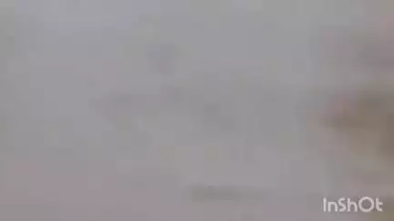 कुलपहाड़: थाना अजनर क्षेत्र से सटे भडार नदी में बही बाइक, युवक ने तैरकर बचाई जान