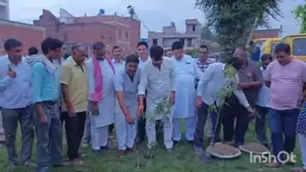 बिंदकी: बिंदकी के वाटिका इंटरनेशनल स्कूल परिसर में विधायक ने किया पौधारोपण, मंडी सचिव और व्यापारी भी रहे मौजूद
