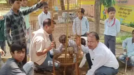 अन्ता: पी एम श्री राजकीय उच्च प्राथमिक विद्यालय टारडी खेड़ा में पर्यावरण संरक्षण एवं संवर्धन कार्यक्रम सम्पन्न हुआ