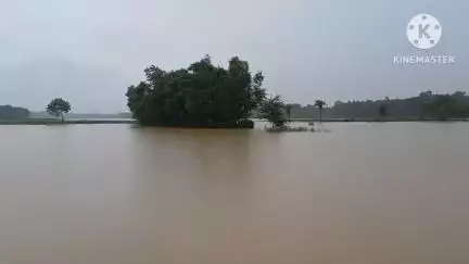 সাঁকরাইল: টানা বৃষ্টির জেরে বহড়াদাঁড়ি এলাকায় বিঘার পর বিঘা চাষের জমি জলমগ্ন, ব্যাপক ক্ষতির আশঙ্কা প্রকাশ চাষীদের