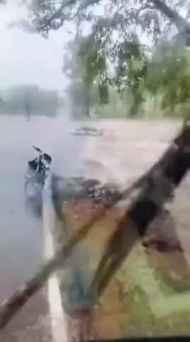 देवेंद्रनगर: बंडा बरायठा मार्ग पर खैरवाहा गांव के पास नदी नाले उफान पर है। वहीं खैरवाहा में एक कार पुल  पार कर रहीं थीं#vayrl