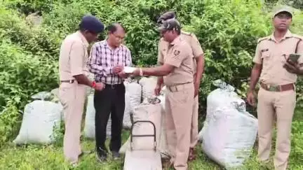 ମୋହନା: ଅଡବା ପୋଲିସର ପେଟ୍ରୋଲିଙ୍ଗ ବେଳେ ରେଣୁ ଗାଁ ନିକଟ ରାସ୍ତା କଡରୁ 1263 କିଲୋ ଗଞ୍ଜେଇ ଜବତ, ମାଫିଆ ଫେରାର