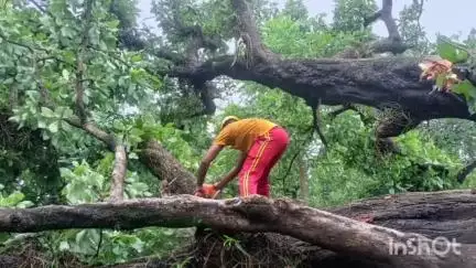 ବୀରମିତ୍ରପୁର: ବାଗଡେଗା ଗ୍ରାମପଞ୍ଚାୟତର ଟାଙ୍ଗରପାଲି ଗ୍ରାମରେ ରାସ୍ତା ଉପରେ ପଡ଼ିଥିବା ଗଛକୁ କାଟି ସଫା କଲେ ନୂଆଗାଁ ଅଗ୍ନିଶମ ବିଭାଗ।