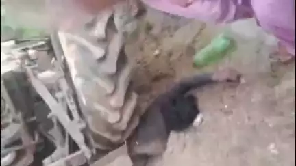 नूह: गांव जखोपुर के पहाड़ में ट्रैक्टर ट्रॉली के नीचे दबने से एक व्यक्ति की मौत