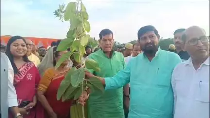 ज्ञानपुर: मल्लूपुर में नगर विकास एवं ऊर्जा मंत्री एके शर्मा ने किया पौधारोपण; विधायक, सांसद और अधिकारी रहे उपस्थित