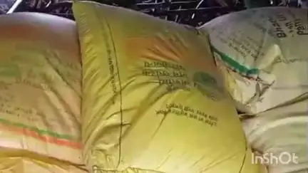 चिरैया: भारत-नेपाल सीमा पर तैनात SSB के जवानों ने 36 बोरा यूरिया खाद के साथ 11 साइकिल की जब्ती की