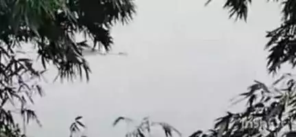 निफाड: सायखेडा येथे गोदावरी पात्रात आढळला अज्ञात इसमाचा मृत्यू, सायखेडा पोलिसांची माहिती