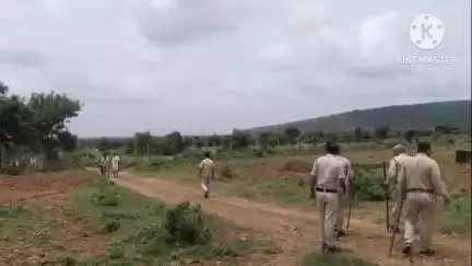 जावद: ग्राम बावल में राजस्व, पुलिस और वन विभाग की संयुक्त कार्रवाई, एक करोड़ की वन भूमि अतिक्रमण से मुक्त