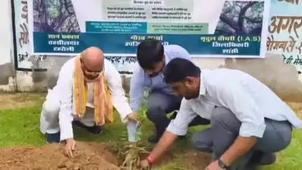टेहरोली: बमनुआ में दर्जा प्राप्त राज्यमंत्री एवं उपजिलाधिकारी ने किया वृक्षारोपण