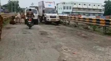 સાવરકુંડલા: સાવરકુંડલામાં અખેડાના પુલમાં એક બાજુ પશુ અને બીજી બાજુ ખાડા:લોકોને અવર-જવર મા મુશ્કેલી#jansamasya