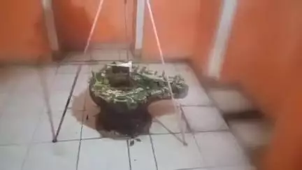 ये वीडियो जनता की आंखे खोलने के लिए बस काफी है 
जागो जनता जागो