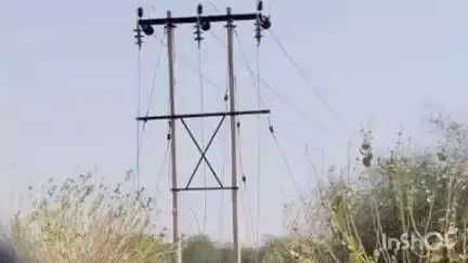 लोहावट: बैंगटी गांव में चोरों ने बिछी बिजली लाइन को निशाना बनाते हुए चालू लाइन से काटकर ले गए बिजली के तार
