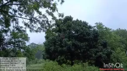 ବୀରମିତ୍ରପୁର: ରାଉରକେଲା ବନଖଣ୍ଡର ପାନପୋଷ, ରାଜଗାଙ୍ଗପୁର, ବାଙ୍କୀ ଓ ବୀରମିତ୍ରପୁର ରେଞ୍ଜରେ ହାତୀଙ୍କ ଉପସ୍ଥିତି ନେଇ ବନ ବିଭାଗର ସୂଚନା