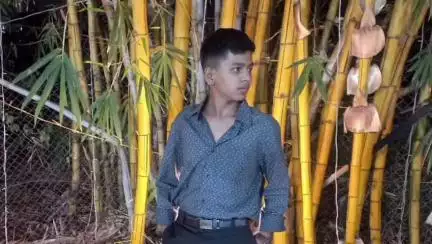 नाशिक: ऑनलाईन गेममध्ये पैसे हरल्याने १६ वर्षीय मुलाची गळफास घेऊन आत्महत्या, जय भवानी रोड, डायमंड नगर येथील घटना
