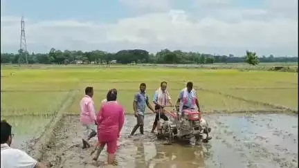 পশ্চিম নলবাৰী: বানেকুছিৰ ডাঙুৱাপাৰাত ভাৰতীয় কিষাণ সংঘৰ এক অনুষ্ঠানত উপস্থিত হৈ কৃষকৰ ৰূপত জিলা আয়ুক্ত নিবেদন দাস পাটোৱাৰী