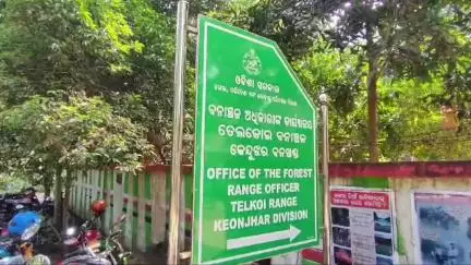 ତେଲକୋଇ: କୁଲାଡେରାରେ ପଲୁଆ ହାତୀ ଆତଙ୍କ ,ଧାନ ତଳି ଖାଇବା ସହ ଉତ୍ପାତ କରୁଛନ୍ତି.