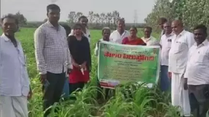 దర్శి: ముండ్లమూరు తాళ్లూరు మండలాలలో ఏవోలు తిరుమలరావు ప్రసాదరావు ఆధ్వర్యంలో పొలం పిలుస్తుంది కార్యక్రమం