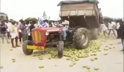 జగన్ పర్యటనలో రోడ్డుపై మామిడికాయలు పోసిన వారిపై కేసు నమోదు