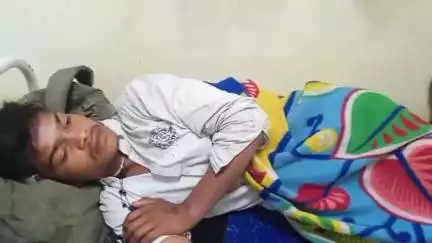 पिपरई: अमरोद में धान लगाते समय किशोर को सांप ने काटा, जिला अस्पताल में भर्ती