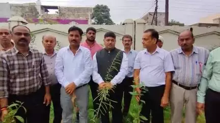 मुरादाबाद एक पेड़ माँ के नाम के अंतर्गत अंबेडकर नेचुरल पार्क आशियाना में किया पोधा रोपड़ ।