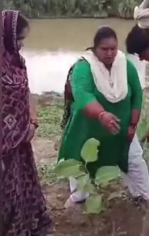 घाटमपुर: घाटमपुर तहसील में 'मां के नाम' कार्यक्रम के तहत पेड़ लगाने का हुआ आयोजन