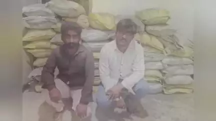 ભચાઉ: ચોરી અથવા છળકપટથી મેળવેલ સિમેન્ટની બોરીઓ સાથે 2 આરોપીને સામખિયાળી વિસ્તારમાંથી LCBએ ઝડપી પાડયા