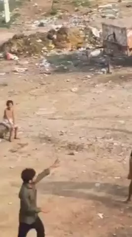 हरदोई मामूली विवाद पर दबंगों ने पीड़ित परिवार पर किया हमला घर में घुसकर महिला और पुरुषों को ईंट-पत्थर, लात-घूंसे से जमकर