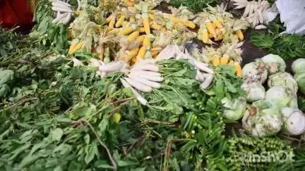 భద్రకాళి దేవాలయంలో జరిగే శాఖంబరోత్సవాలకు అన్ని ఏర్పాట్లు పూర్తి