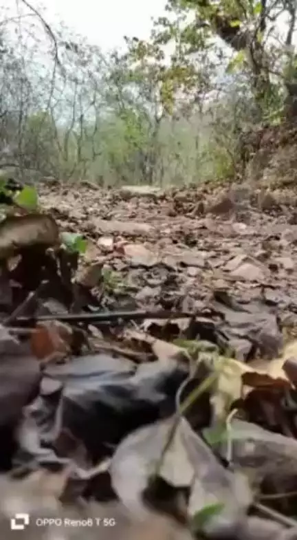 चाईबासा जिला गोईलकेरा थाना अंतर्गत ग्राम ईचाहातु से इचागोड़ा जाने वाली कच्ची सड़क पर नक्सलियों द्वारा लगाए गए 06 KG का प्रेशर IED को चाईबासा पुलिस एवं CRPF 60BN द्वारा बरामद कर यथास्थान विनष्ट किया गया।
