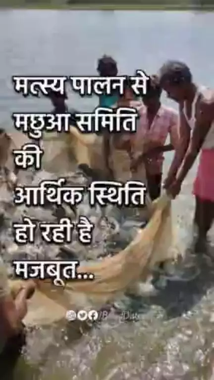 मत्स्य पालन से मछुआ समिति की आर्थिक स्थिति हो रही है मजबूत #fishfarming