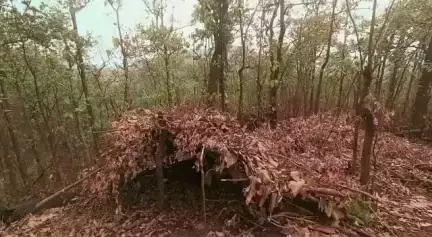चाईबासा जिला के गोइलकेरा थाना अंतर्गत भाकपा (माओ) के विरुद्ध चलाए जा रहे अभियान के दौरान सुरक्षाबलों ने नक्सलियों के कैंप को किया ध्वस्त। चाईबासा जिला अंतर्गत नक्सलियों के विरुद्ध अभियान एवं सर्च ऑपरेशन लगातार जारी है।