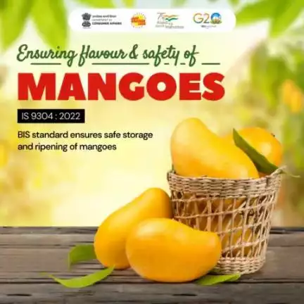 Preserving the Essence of Flavor and Safety: BIS Standards Champion Safe Storage and Ripening Practices for Mangoes to Delight Consumers.

#Summervibes #qualitytaste