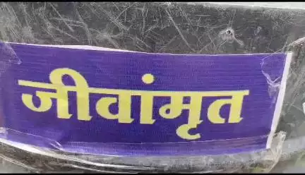 जीवामृत बनाते हुए विकासखंड रामा जिला झाबुआ