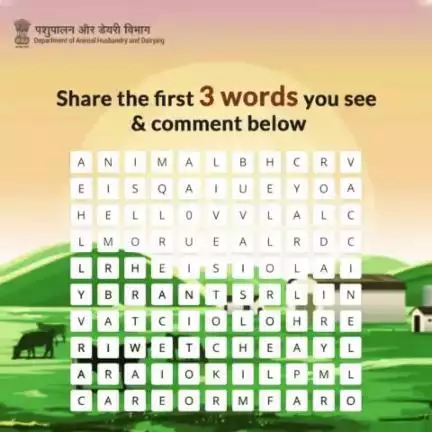 Take a deep look and find 3 words related to Animal Husbandry and Dairying sector from this word search puzzle and comment
#AatmnirbharBharat #ahelp #animalhealth #livestock #animalhusbandry #Pashupalan #fun #puzzle #game