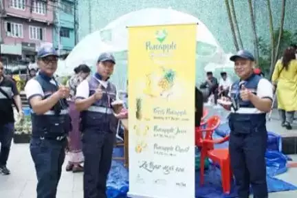 Tuichangral Organic #FPC under #MOVCDNER, organised Pineapple Bonanza and marketed their produce straight from the farm to consumer in Millennium Centre, Aizawl from 26–29 July 2023.