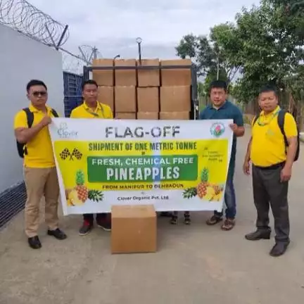 A small consignment of 1 MT of Kew Pineapples, initiated under #MOVDNER was airlifted from Imphal Manipur to Dehradun on 29 July 2023. The procurement was facilitated by Clover Organic Pvt Ltd with support from #MOMA.
#agrigoi